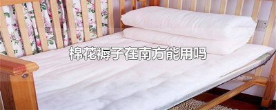 ​南方用什么褥子不潮湿 南方用什么褥子防潮好