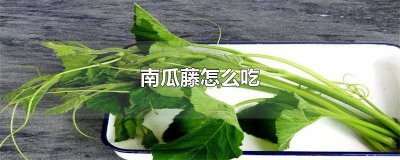 ​南瓜藤好吃吗怎么做 南瓜藤怎么做才好吃又简单