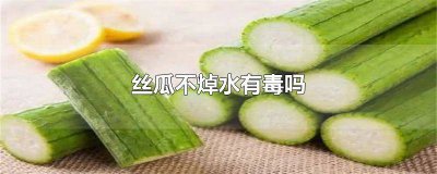 ​丝瓜用不用焯水可以吃吗 丝瓜一定要焯水吗