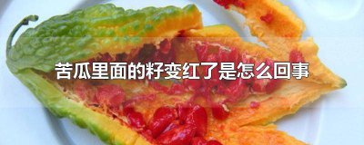 ​苦瓜里面的籽变红心 苦瓜籽变成红色