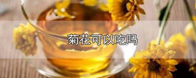 ​菊花茶里面的菊花可以吃吗 花店的菊花可以吃吗