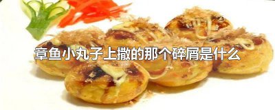 ​章鱼小丸子放的小碎粒是什么 章鱼小丸子中的鱼屑