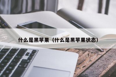 ​什么是黑苹果（什么是黑苹果状态）