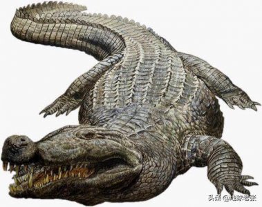 ​史前生物图鉴162-恐鳄