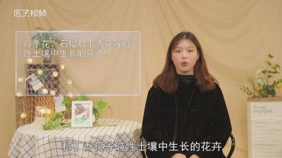 ​哪些花不适合淘米水