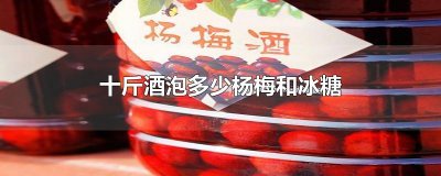 ​十斤酒泡多少杨梅和冰糖