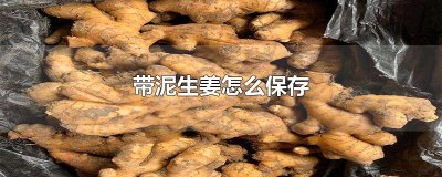 ​带泥生姜怎么保存