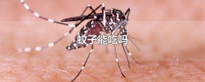​蚊子能吃吗