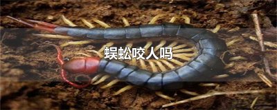 ​蜈蚣咬人吗