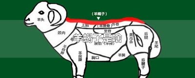 ​羊蝎子是羊的哪个地方的肉 羊蝎子有没有肉