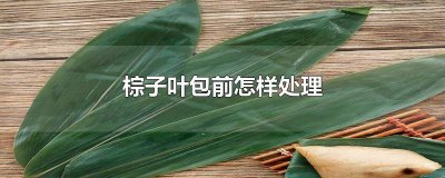 ​棕叶子需要处理吗图片 棕叶子需要处理吗视频