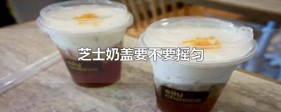 ​奶茶里的芝士奶盖 芝士可以加奶茶里吗