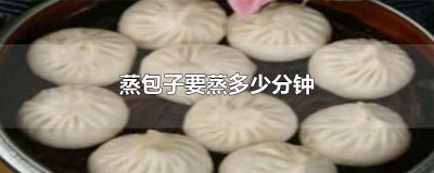 ​蒸包子要蒸多少分钟