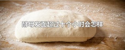 ​酵母发面超过十个小时会怎样