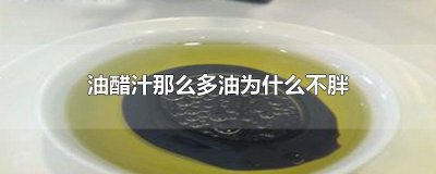​油醋汁那么多油为什么不胖