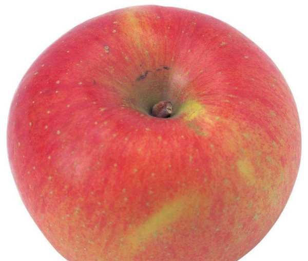 如何辨别苹果上的蜡,如何辨别苹果表面的工业蜡的真假图4