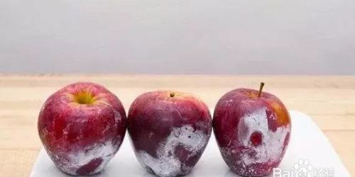 怎么判断苹果皮有没有打蜡