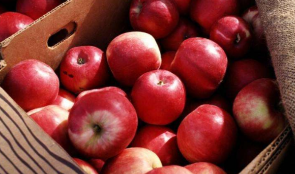 如何辨别苹果上的蜡,如何辨别苹果表面的工业蜡的真假图5