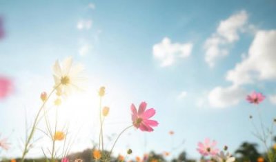 ​20个生活常见第二章地球上没有不散的宴席