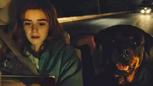 寂静之地1简略版解说(寂静之地的套路)(11)