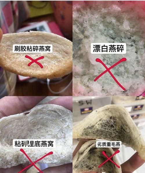 燕窝是什么东西，是怎么形成的