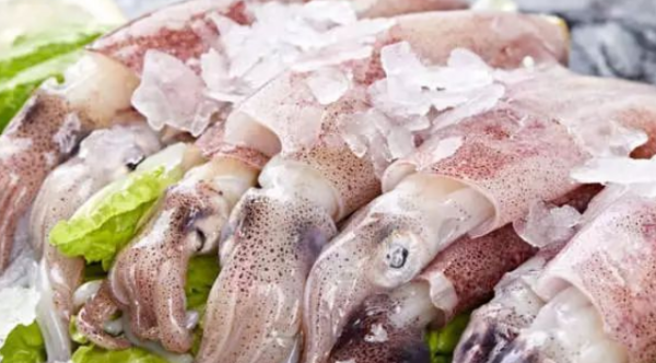 常见的海鱼有哪些,海鱼有哪些品种图1