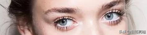 10种眼睛瞳孔颜色（瞳孔形状如此不同）(12)