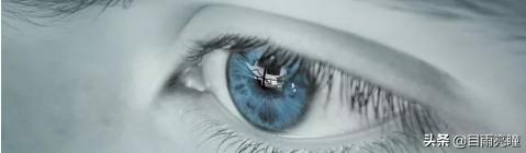 10种眼睛瞳孔颜色（瞳孔形状如此不同）(18)