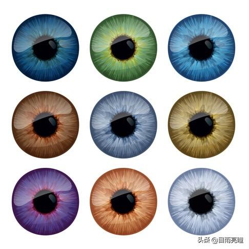 10种眼睛瞳孔颜色（瞳孔形状如此不同）(10)