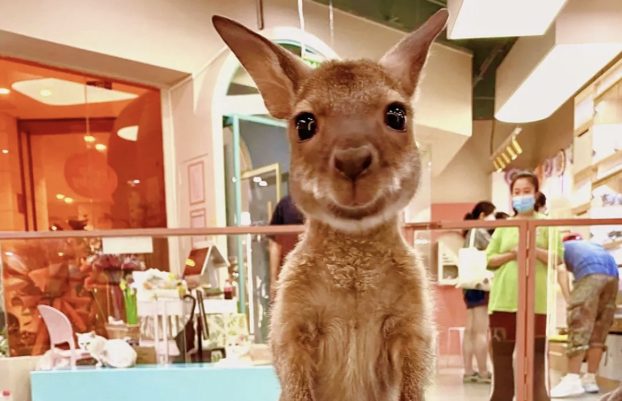 北京十大必逛的商场在哪里，来北京必逛的12个有特色商场