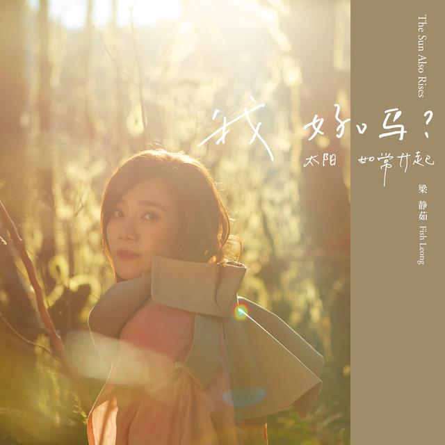 梁静茹结束了九年的婚姻（梁静茹宣布离婚）(10)