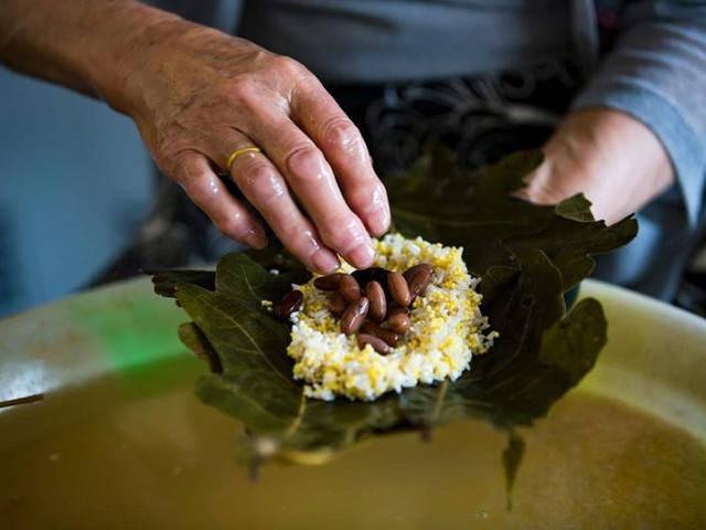 端午节粽子粽叶的种类（端午粽叶大汇总）(3)