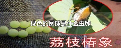 ​绿色球形虫卵怎么处理 绿色球形虫卵图片