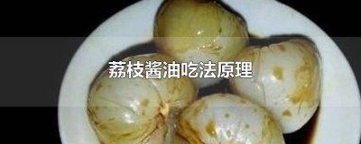 ​荔枝酱油吃法原理图视频 荔枝 酱油 生抽