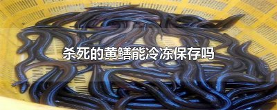 ​杀死的黄鳝能冷冻保存吗