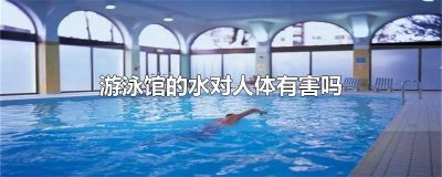 ​游泳馆的水对人体有害吗知乎 游泳馆的水对身体有害吗