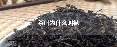 ​茶叶为什么叫枞