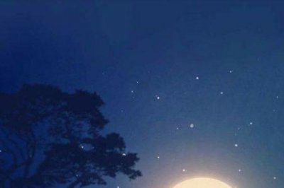 ​林深不见鹿完整版寓意