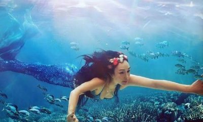 ​钟丽缇颜值巅峰时有多美