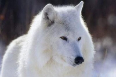 ​怎么能放下一段感情(怎么样快速放下一段感情)