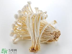 金针菇发黄还能吃吗 金针菇变黄能吃吗 金针菇发黄还能吃吗 金针菇变黄能吃吗
