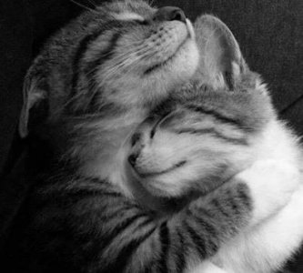 ​怎样做一个好丈夫需要会哪些(孝顺父母的好孩子)