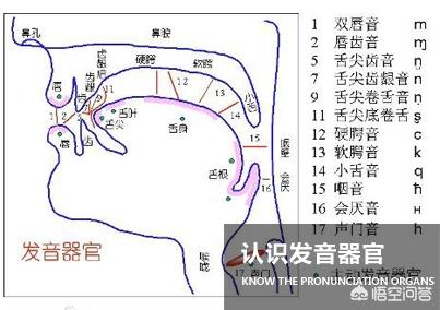腹语是怎么回事要怎么练习最有效(用腹语能解决语言障碍矫正问题吗)(4)