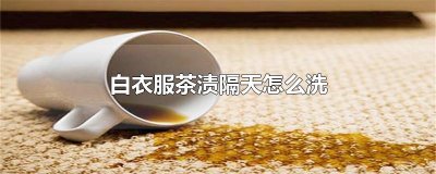 ​白衣服茶渍隔天怎么洗