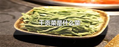 ​干贡菜是什么菜