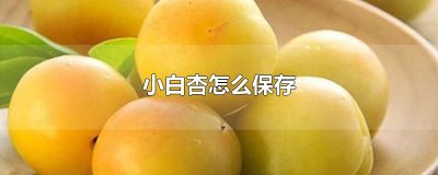 ​小白杏怎么保存