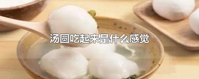 ​汤圆吃起来是什么感觉