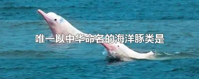​唯一以中华命名的海洋豚类是