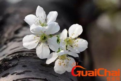 ​润近义词是什么？润近义词是什么词