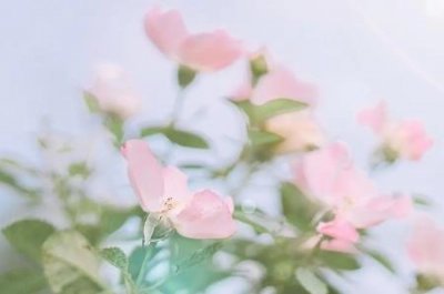 ​社保卡显示状态异常怎么回事？